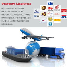 Service de logistique du fret aérien international de fret (expédition logistique)